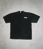 001 CATHEDRAL OF ICE